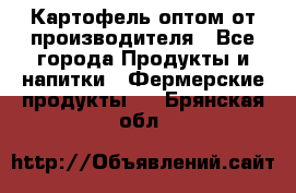 Картофель оптом от производителя - Все города Продукты и напитки » Фермерские продукты   . Брянская обл.